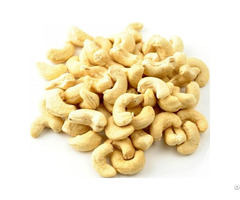 Hight Quality Vietnam Cashew Nuts