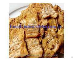 Latest Crop Dried Bamboo Shoots Best Price