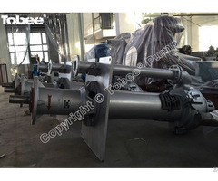 Tobee® 100rv Sp Vertical Slurry Pump