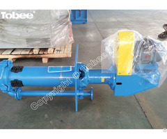 Tobee® 65qv Sp Vertical Slurry Pump