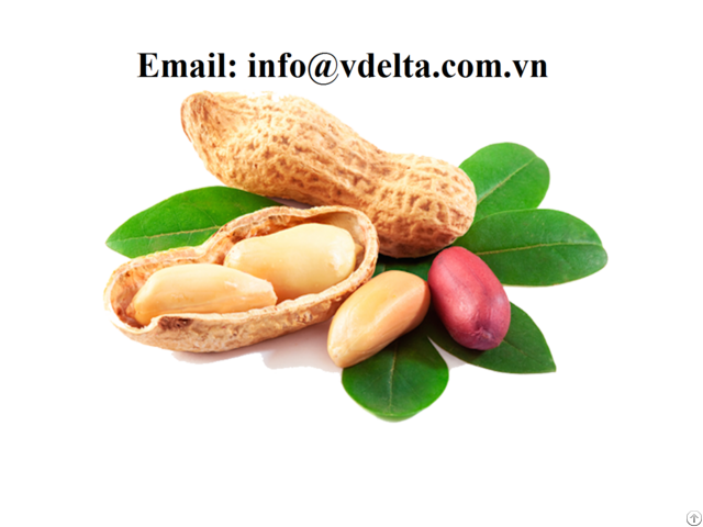 Fresh Quality Raw Peanuts Nutrition With Best Price