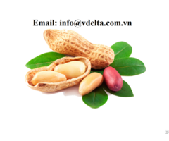 Fresh Quality Raw Peanuts Nutrition With Best Price