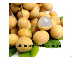 Fresh Longan Tropical Fruits From Vietnam
