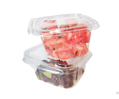 Safe Sealed Pet Clear Clamshell Food Box