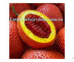 Lowest Price Gac Fruit Pulp And Aril Momordica Cochinchinensis