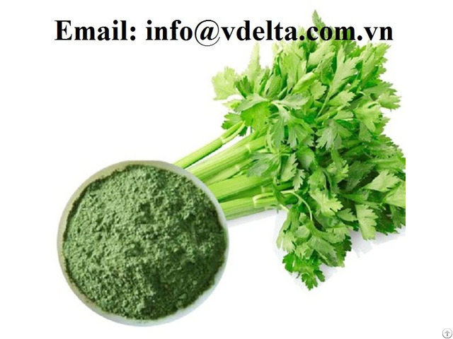 Best Quality Celery Powder Vietnam