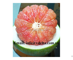 Fresh Pomelo Grape Fruit With Best Quality From Vietnam