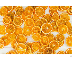 Standard Dehydrated Fruits Dried Orange Slices