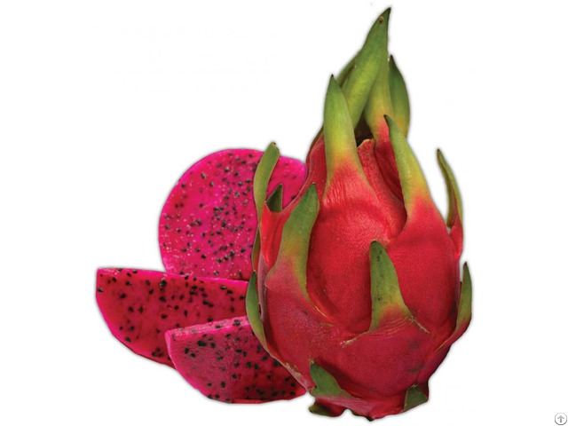 100% Natural Dragon Fruits With Best Price