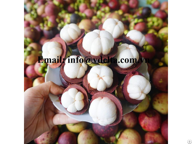 Fresh Mangosteen Tropical Fruits For Export From Vietnam