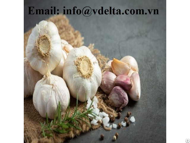 Natural Garlic From Viet Nam High Quality Species