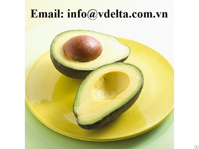 Fresh Avocados From Vietnam