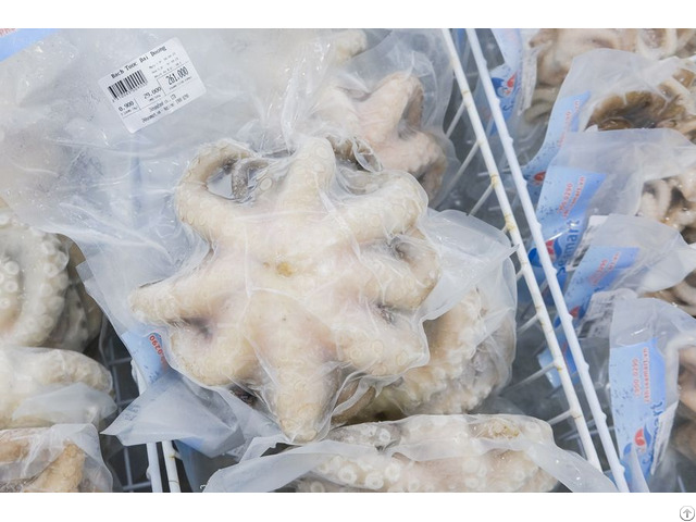 Frozen Octopus