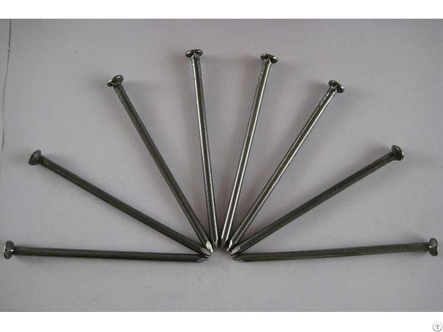 Common Nail Smooth Shank