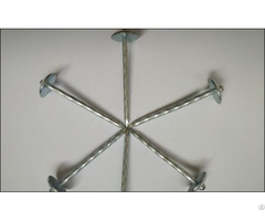 Galvanized Iron Roofing Nails