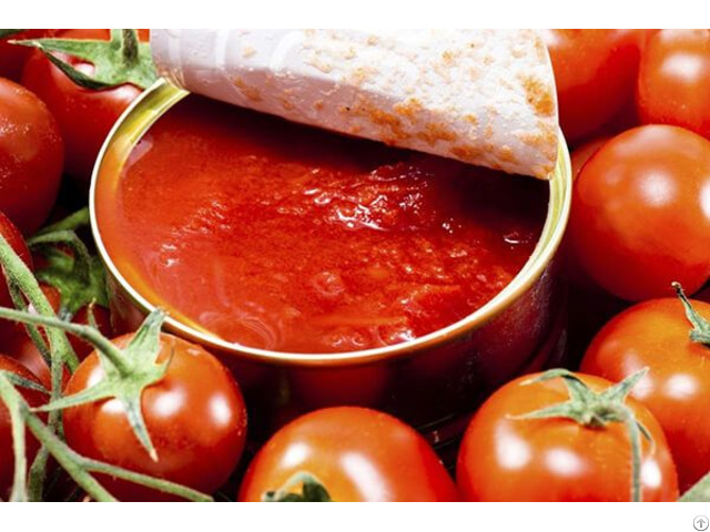 Canned Peeled Tomatoes Hight Quality