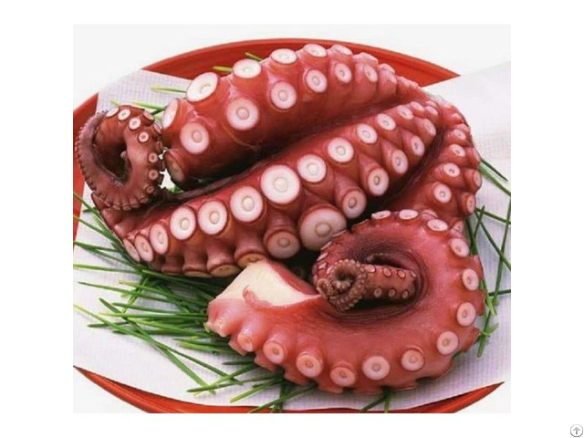 Frozen Octopus Beards From Vietnam