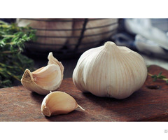 Bulk Supplier Natural Garlic From Viet Nam