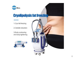 Fat Freeze Device Fast Slimming Cryo Weight Loss Machine