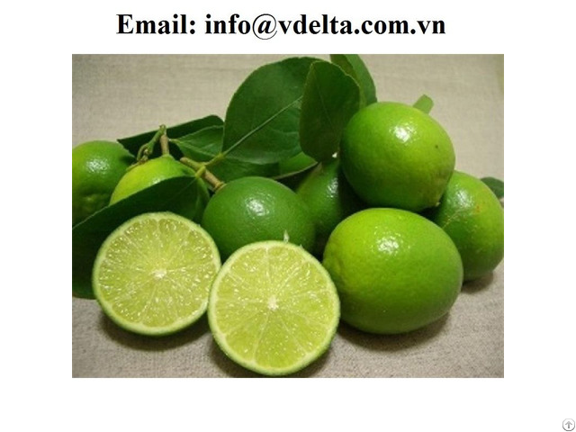 Fresh Lemon From Vietnam