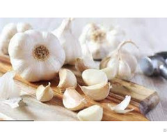 Bulk Supplier Natural Garlic