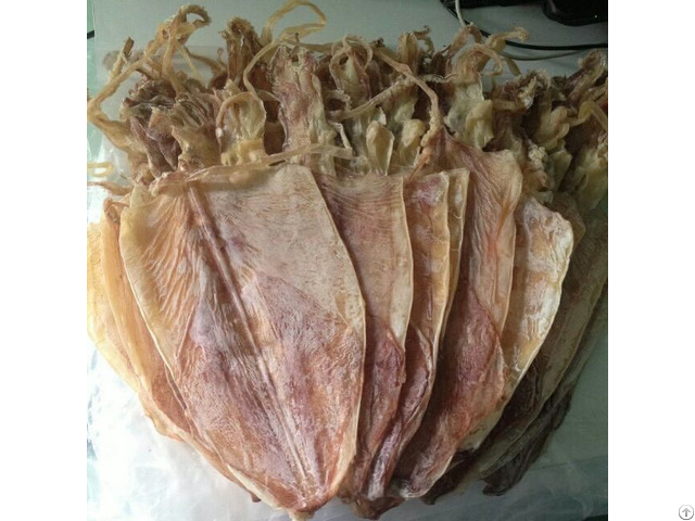 Natural Dried Squid On September From Viet Nam