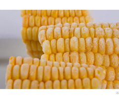 High Quality Frozen Sweet Corn For Exporting From Vietnam