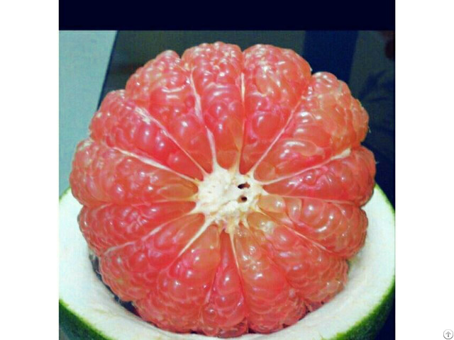 Hot Sale Grapefruit Pomelo Citrus Fruit Grade 1 From Vietnam