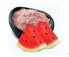 Hight Quality Watermelon Fruit Powder