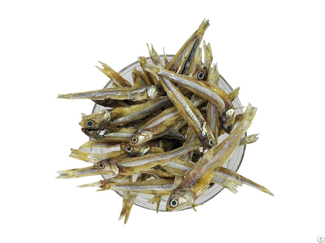 Dried Anchovy With Premium Quality And Competitive Price