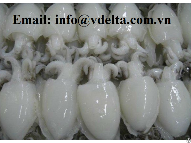 Frozen Milk Cuttlefish From Vietnam