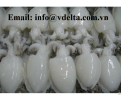 Frozen Milk Cuttlefish From Vietnam