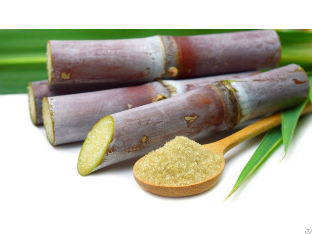 Frozen Sugarcane