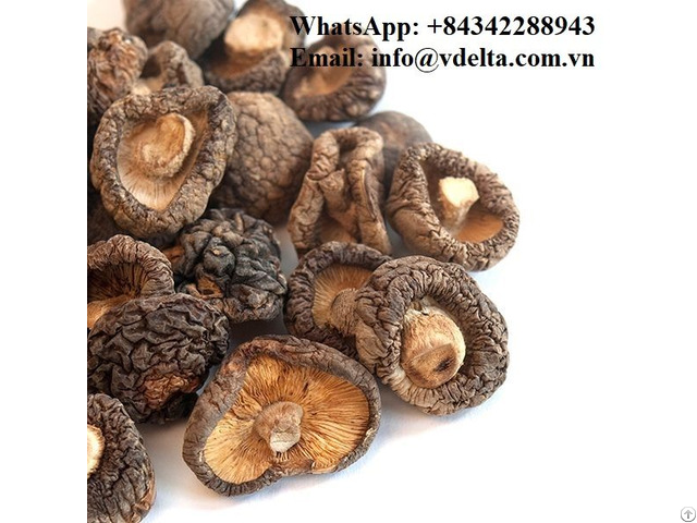 Vietnam Dried Shiitake Mushrooms