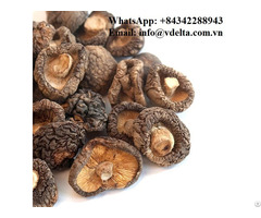 Vietnam Dried Shiitake Mushrooms