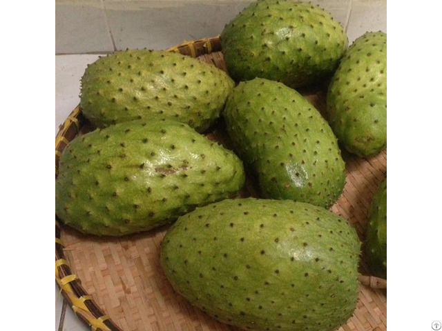 Frozen Soursop Graviola High Quality