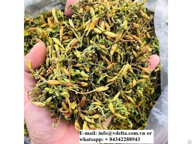 100% Natural Dried Papaya Flower