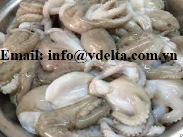 Hight Quality Frozen Octopus