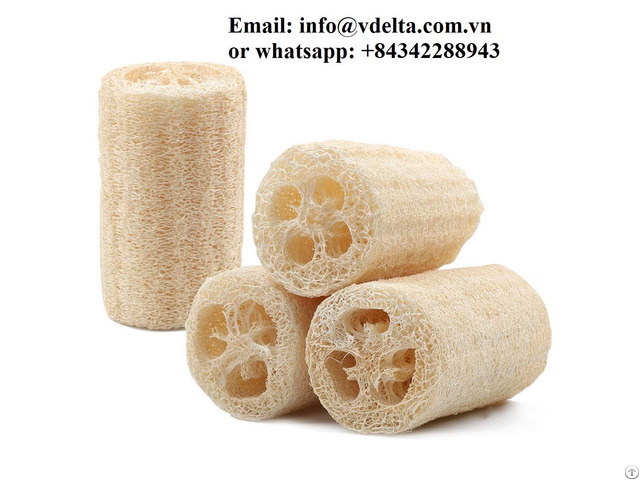 We Have 100% Natural Raw Loofah Sponge Vietnam