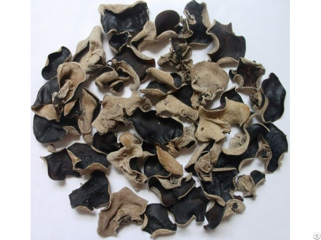 Dried Black Fungus Mushroom From Vietnam