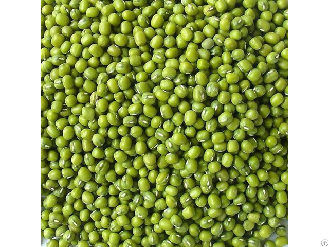 Vietnam Bulk Green Mung Beans