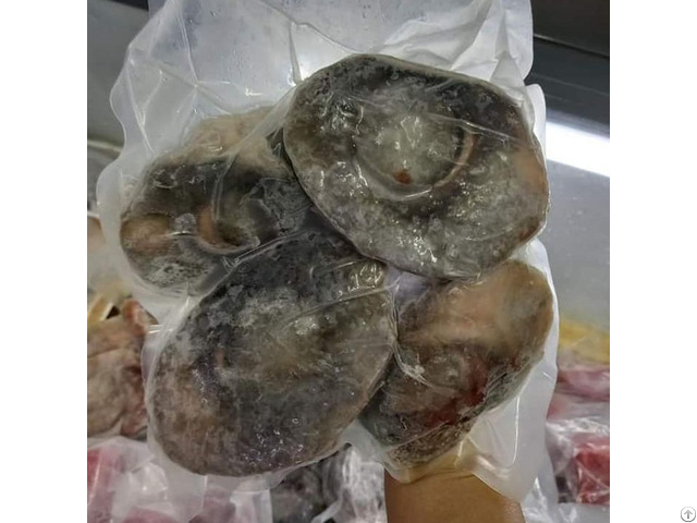 Tuna Eyes Vietnam