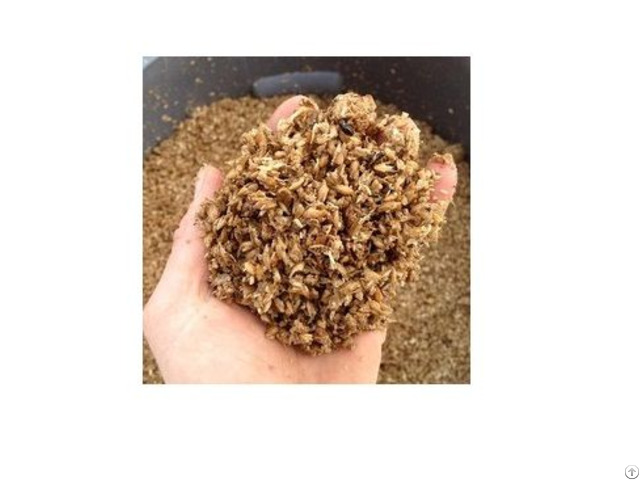 Dried Beer Residue Powder For Cattle Whatsapp 84326837715