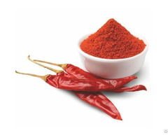 Indian Red Chili