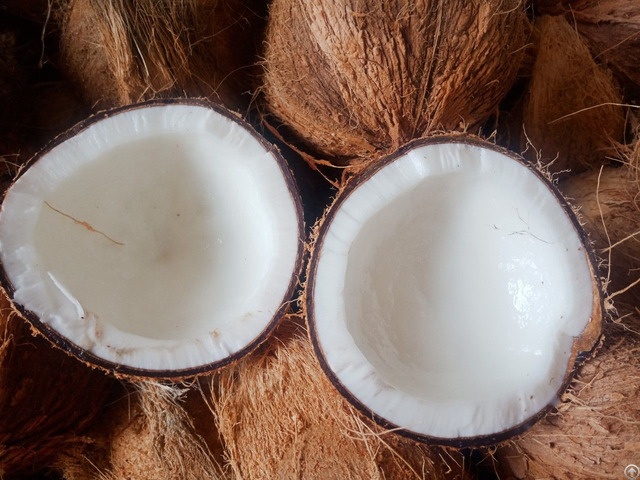 Semi Husked Coconut