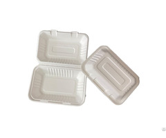Disposable Food Container Sugarcane Takeaway Bagasse Boxes Clamshell Takeout Biodegradable Lunch Box