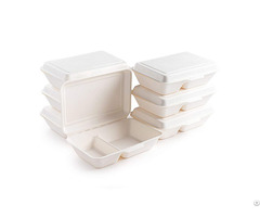 Disposable Customized White Sugarcane Bagasse Bamboo Pulp Paper Clamshell Boxes With 2 Compartments