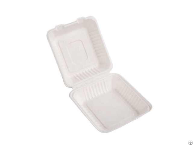 Customized 8 Inch 9inch High Quality Sugarcane Bagasse Clamshell Takeaway Food Container Box