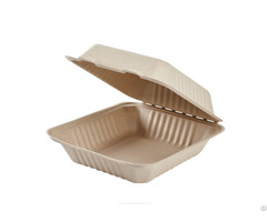 Disposable 9 Inch Sugarcane Pulp Food Container Takeaway Biodegradable Bagasse Clamshell Lunch Box