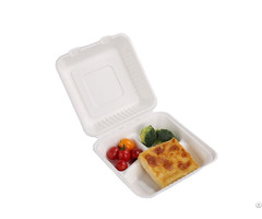 Compostable 9inch Sugarcane 3 Compartment Disposable Bagasse Food Container Clamshell Box
